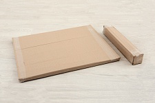 ���� ��������� (�-029) � ������������